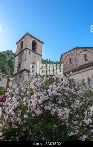 Trg od Drva (Holz), St. Mary's Stiftskirche und die Befestigungen auf die Berge hinter Kotor, Montenegro. Leer in den frühen Morgenstunden Stockfoto
