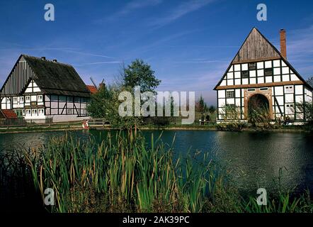 Alte Fachwerkhäuser im Westfälischen Freilichtmuseum Detmold. Auf einer Fläche von 80 Hektar mehr als 90 voll ausgestattete historische Bui Stockfoto