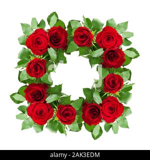 Red rose Blumen Rahmen isoliert auf weiss Stockfoto