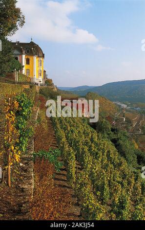 Die Rokoko Schloss ist eines der drei Dornburger Schlösser im Wein Land Thüringen, Deutschland, und es ist umgeben von Weinbergen. Ein museum Stockfoto