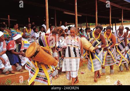 Dieses Foto zeigt die Venda an einem traditionellen Tanz Festival im Vendaland in der Limpopo Provinz, Südafrika. (Undatiertes Foto) | Verwendung weltweit Stockfoto