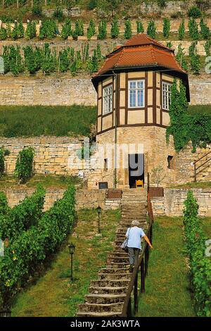 Man findet wenig Weinberg cottages wieder und wieder in das Weinanbaugebiet Saale-Unstrut, Deutschland. Sie sind in die weinterrassen wie hier in F gebaut Stockfoto