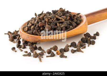 Haufen von roh, getrocknet Zimt blossom buds Gewürz in der Kochlöffel auf weißem Hintergrund Stockfoto
