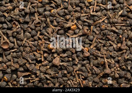 Roh, getrocknet Zimt blossom Buds spice Draufsicht flach Rahmen befüllen Hintergrund Textur Stockfoto