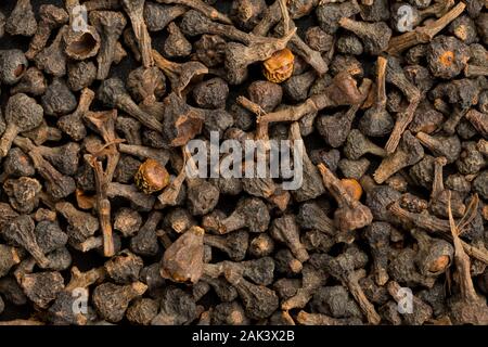 Roh, getrocknet Zimt blossom Buds spice Draufsicht flach Rahmen befüllen Hintergrund Textur Stockfoto