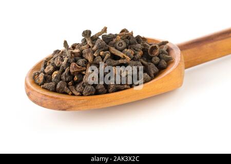 Haufen von roh, getrocknet Zimt blossom buds Gewürz in der Kochlöffel auf weißem Hintergrund Stockfoto