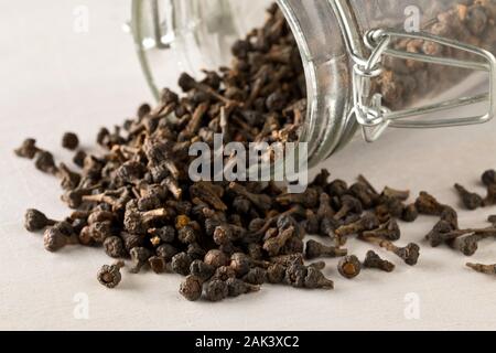 Haufen von roh, getrocknet Zimt blossom buds Gewürz im Glas storage jar auf weißem Hintergrund mit selektiven Fokus Stockfoto