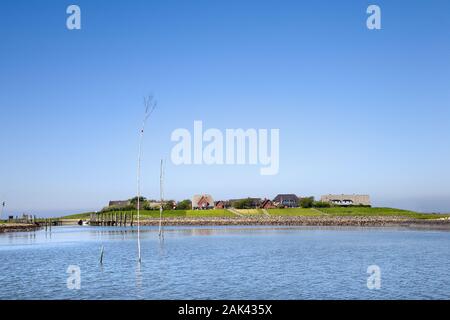 Blick auf Hallig Oland, Nordfriesland, Schleswig-Holstein, Deutschland | Verwendung weltweit Stockfoto
