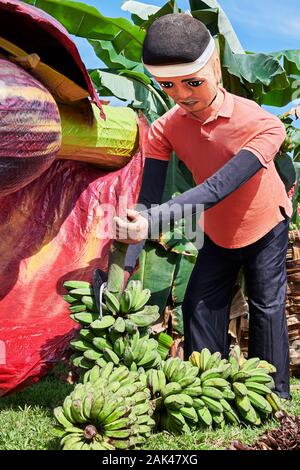 Ibajay Stadt, Provinz Aklan, Philippinen - Januar 27, 2019: Wagen mit einer Banane Landwirt aus Styropor an der Ati-Atihan Festifval Parade Stockfoto