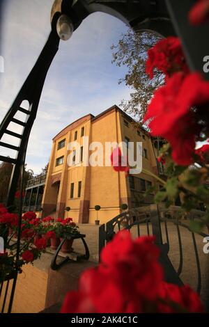 Deutschland: Chemnitz - Villa Esche | Verwendung weltweit Stockfoto