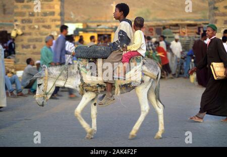 Marokko - Kinder sind auf einem Esel in Agdz | Verwendung weltweit Stockfoto