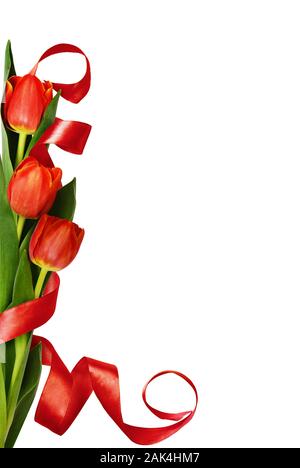 Rote Tulpe Blumen und seidenband Ecke auf weißem Hintergrund Stockfoto