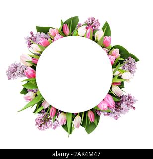 Rosa Tulpen und violetten Blüten in runden Rahmen mit weißer Kreis für Text auf weißem Hintergrund Stockfoto