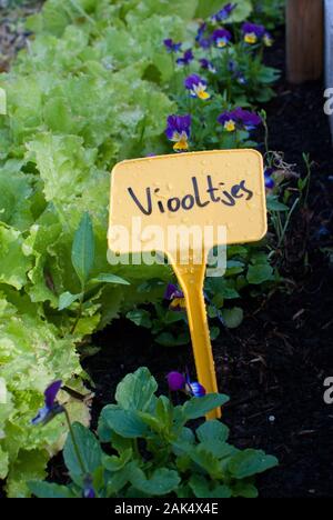 Nahaufnahme einer städtischen Farm mit holländischen Vorständen Stockfoto