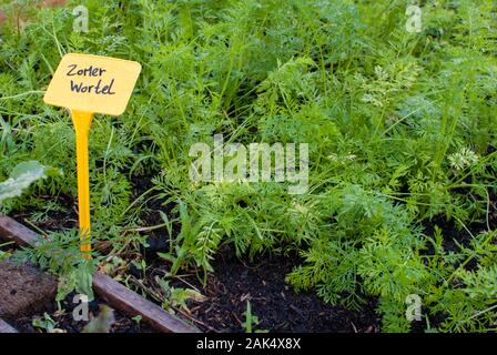 Nahaufnahme einer städtischen Farm mit holländischen Vorständen Stockfoto