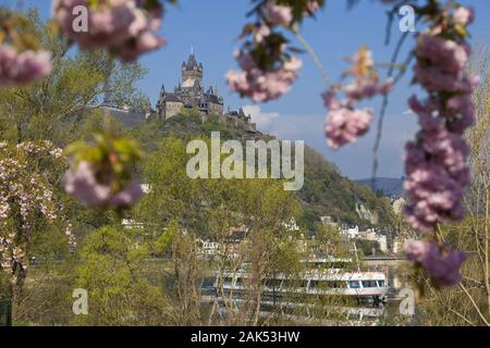 Blick auf die Reichsburg in Cochem, Mosel | Verwendung weltweit Stockfoto