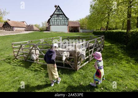 Ungersheim: Freilichtmuseum Ecomusée d'Alsace, Elsass | Verwendung weltweit Stockfoto