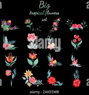 Big Set aus bunten tropischen Blumen. Großen floralen botanischen Blume auf schwarzen Hintergrund isoliert. Hand vektor Sammlung erstellt. Botanische Hawaii nat Stock Vektor