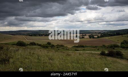 Felder von Getreide auf die hügelige Landschaft der Chiltern Hills an ivinghoe Leuchtfeuer in Buckinghamshire. Stockfoto