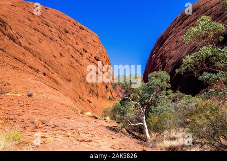 Tal der Winde geht im Olgas spazieren. Kata-Tjuta National Park, Northern Territory, Australien Stockfoto