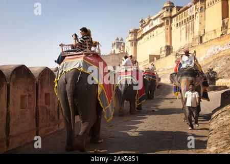 Bundesstaat Rajasthan: festlich geschmueckte Elefanten vor dem Fort Amber in Jaipur, Indien | Verwendung weltweit Stockfoto