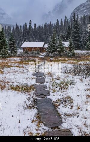 Trail führt zu Elizabeth Parker Hütte an einem kalten Tag im September in den Lake O'Hara Bereich der Yoho National Park, British Columbia, Kanada Stockfoto