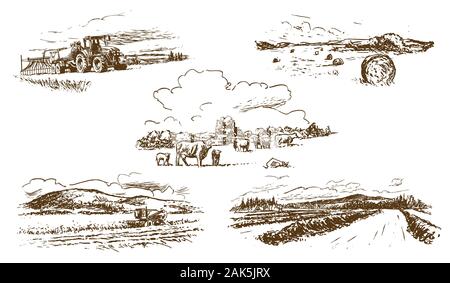 Landwirtschaftliche Landschaft Landschaft, von Hand gezeichnete Illustrationen (Vektor) Stock Vektor