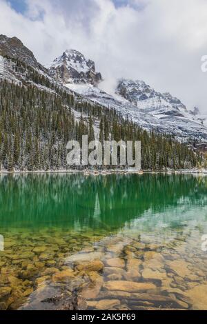 Mount Huber gesehen vom Lake O'Hara im September im Yoho National Park, British Columbia, Kanada Stockfoto