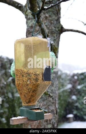 Eine verschneite Bird Feeder, hängen von einem Baum im Garten, im Winter mit Vogelfutter. Der Vogel Samen, für wilde Vögel sind perfekt für die kalte temper Stockfoto