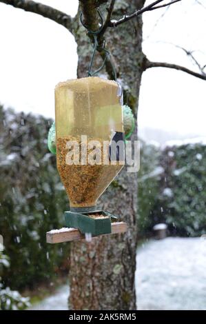 Eine verschneite Bird Feeder, hängen von einem Baum im Garten, im Winter mit Vogelfutter. Der Vogel Samen, für wilde Vögel sind perfekt für die kalte temper Stockfoto
