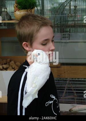 Junge hat einen Kakadus auf seiner Schulter Stockfoto