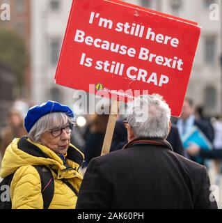 London, Großbritannien 7. Januar 2020 Pro und Anti brexit Demonstranten vor dem Parlamentsgebäude Credit Ian DavidsonAlamy leben Nachrichten Stockfoto