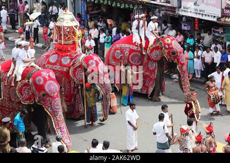 Kandy: Geschmueckte Elefanten auf der Festprozession anlaesslich der Kandy-Esala-Perahera, Sri Lanka | Verwendung weltweit Stockfoto