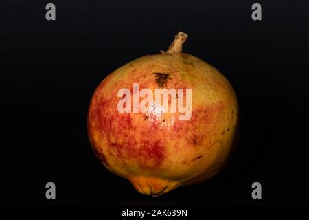 Granatapfel fotografiert auf einem schwarzen Hintergrund, es ist eine Frucht, die im September reich an Vitaminen reift, der Saft ist auch ein Abschrecken trinken. Stockfoto