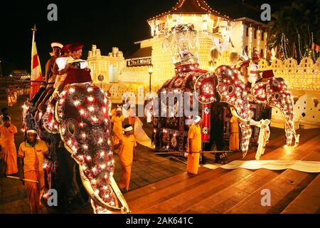 Kandy: abendliche Festprozession anlaesslich der Kandy-Esala-Perahera, geschmueckte Elefanten vor dem buddhistischen Sri Dalada Maligawa (Zahntempel), Stockfoto