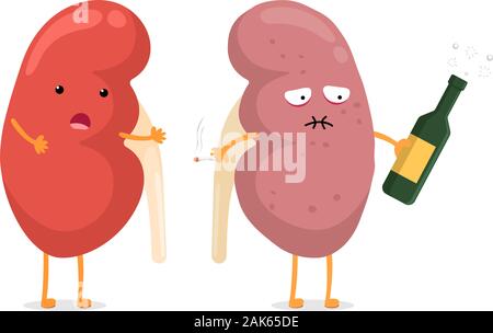 Nette gesunde und traurige leiden kranke Niere Charakter mit Alkohol und Zigarette. Menschliche Anatomie Urogenitalsystem innere starke und ungesunde Organe vergleichen. Vektorgrafik Cartoon-Illustration Stock Vektor