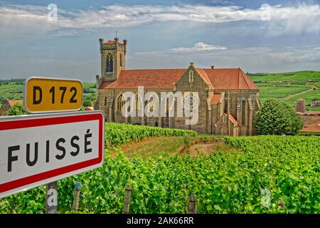 Weinberge am Fuissé in der Region Burgund in Frankreich. Stockfoto