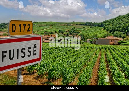 Weinberge am Fuissé in der Region Burgund in Frankreich. Stockfoto