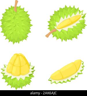 Durian Symbole gesetzt. Isometrische Satz von Durian Vector Icons für Web Design auf weißem Hintergrund Stock Vektor