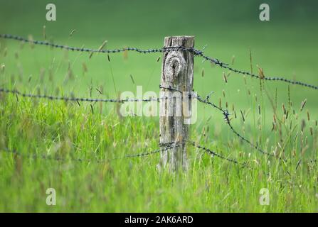 Eine Nahaufnahme von einem draht zaun in einer Wiese. Stockfoto