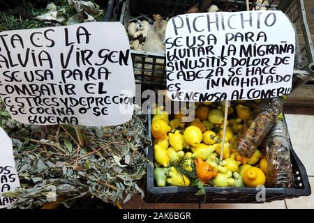 Provinz San Jose / San José Stadt: medizinische Kraeuter mit dem Zentralmarkt, Costa Rica | Verwendung weltweit Stockfoto