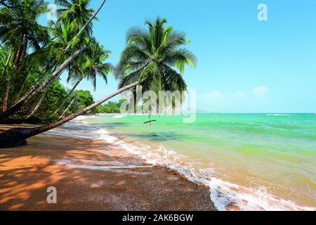 Provinz Limon: Punta Uva, Karbikstrand an der Playa Punta Uva, Costa Rica | Verwendung weltweit Stockfoto