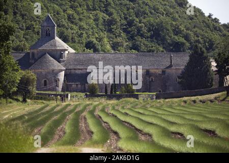 Senanque: Abteikirche und Kloster "Notre-Dame de Senanque', Provence | Verwendung weltweit Stockfoto