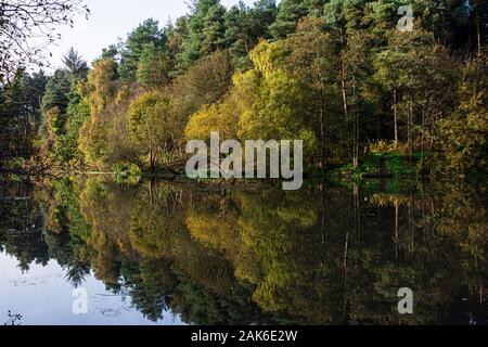 Bäume am Ufer des Eliburn Behälter im Wasser spiegelt Stockfoto