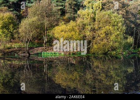 Bäume am Ufer des Eliburn Behälter im Wasser spiegelt Stockfoto