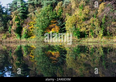 Bäume am Ufer des Eliburn Behälter im Wasser spiegelt Stockfoto