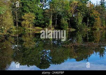 Bäume am Ufer des Eliburn Behälter im Wasser spiegelt Stockfoto