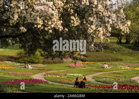 Essen: Grugapark, botanischer Garten in der virchowstrasse, Ruhrgebiet | Verwendung weltweit Stockfoto