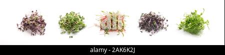 Nach rechts essen, bleiben jung. Sortiment an frischen microgreens schließen bis auf weißem Hintergrund, breites Panorama Stockfoto