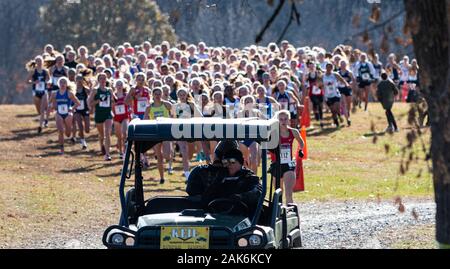 Wappingers Falls, New York, USA - 23. November 2019: Die leitung pack High School Mädchen werden geführt von einer Golfkarre während eines cross country Meister Stockfoto